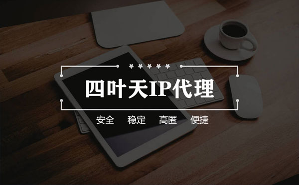 【鹰潭代理IP】如何快速搭建代理IP？怎么检查代理的效果？